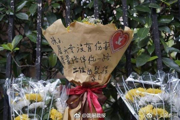 官方：塞尔维亚足协因球迷行为不当遭FIFA罚款+关闭部分看台